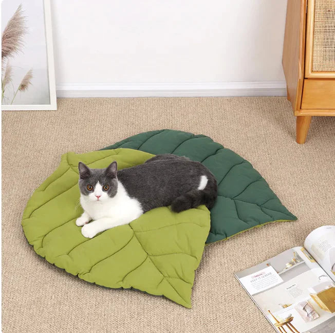 Dual-Sided Leaf Pet Mattress