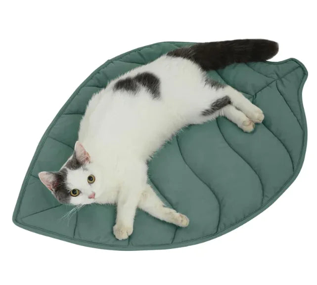 Dual-Sided Leaf Pet Mattress